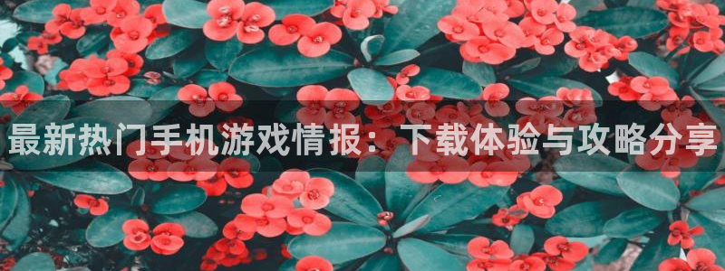 手机版赢咖娱乐客户端下载：最新热门手机游戏情报：下载体验与攻