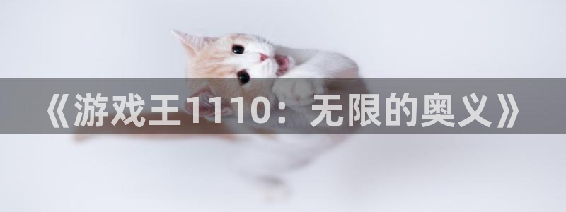 赢咖娱乐升级5994月：《游戏王1110：无限的奥义》