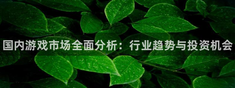 赢咖娱乐下载链接：国内游戏市场全面分析：行业趋势与投资机会