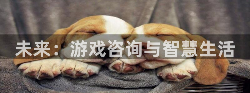 赢咖娱乐app下载|下载地址：未来：游戏咨询与智慧生活