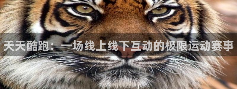 赢咖娱乐怎么注册：天天酷跑：一场线上线下互动的极限运动赛事
