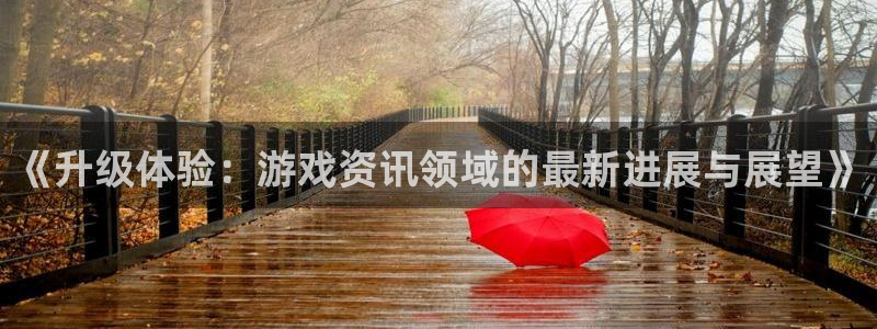 赢咖娱乐官方平台：《升级体验：游戏资讯领域的最新进展与展望》
