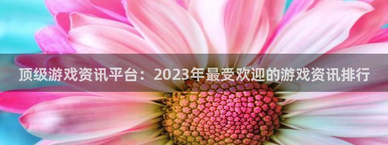 赢咖娱乐注册网站：顶级游戏资讯平台：2023年最受欢迎的游戏
