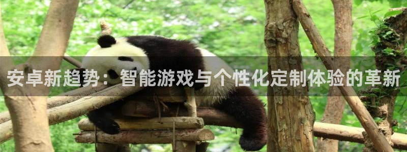 赢咖娱乐网址注册：安卓新趋势：智能游戏与个性化定制体验的革新