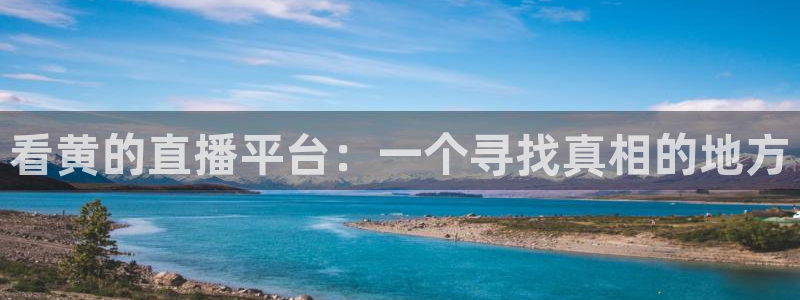 51视频在线直播nba：看黄的直播平台：一个寻找真相的地方