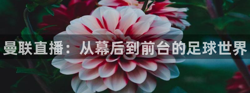 51视频在线直播nba：曼联直播：从幕后到前台的足球世界