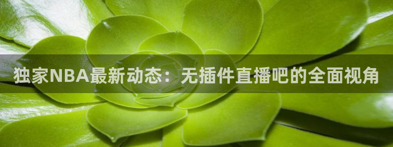 51视频在线直播nba：独家NBA最新动态：无插件直播吧的全面视角