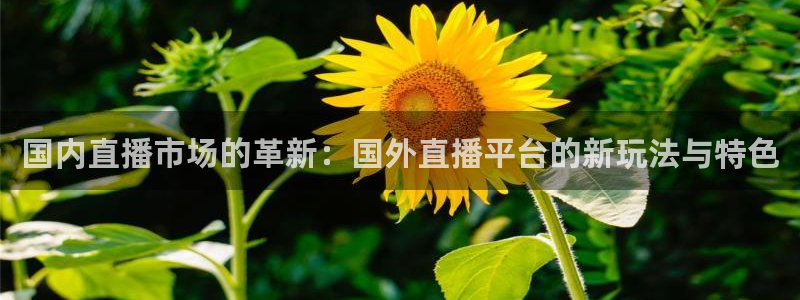 51视频在线直播nba