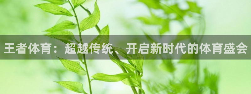 51视频在线直播nba：王者体育：超越传统、开启新时代的体育盛会