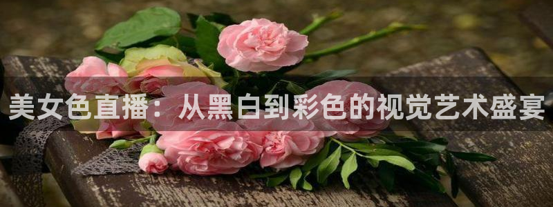 51视频在线直播nba：美女色直播：从黑白到彩色的视觉艺术盛宴