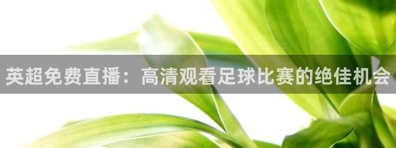 51视频在线直播nba：英超免费直播：高清观看足球比赛的绝佳机会